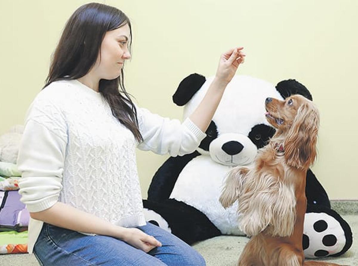 В гостях у «Жёлтой собаки» дети забывают про болезни